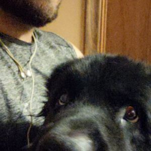 Meet your Posher, Joe